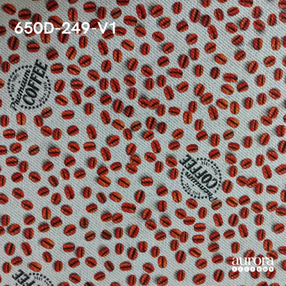 650D-249-V1