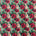 Flores de Natal