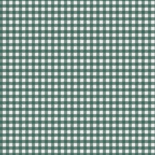 482E-1001-V06