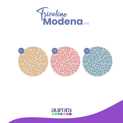 Tricoline Modena 100% Algodão - Mini Floral Colorato