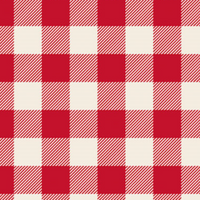 Cotton Linen - Linho com Algodão - Xadrez